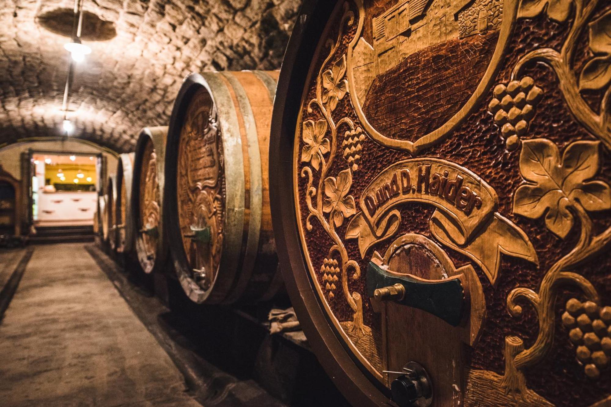 Weingut Gaestehaus D&D Haider Йойс Экстерьер фото