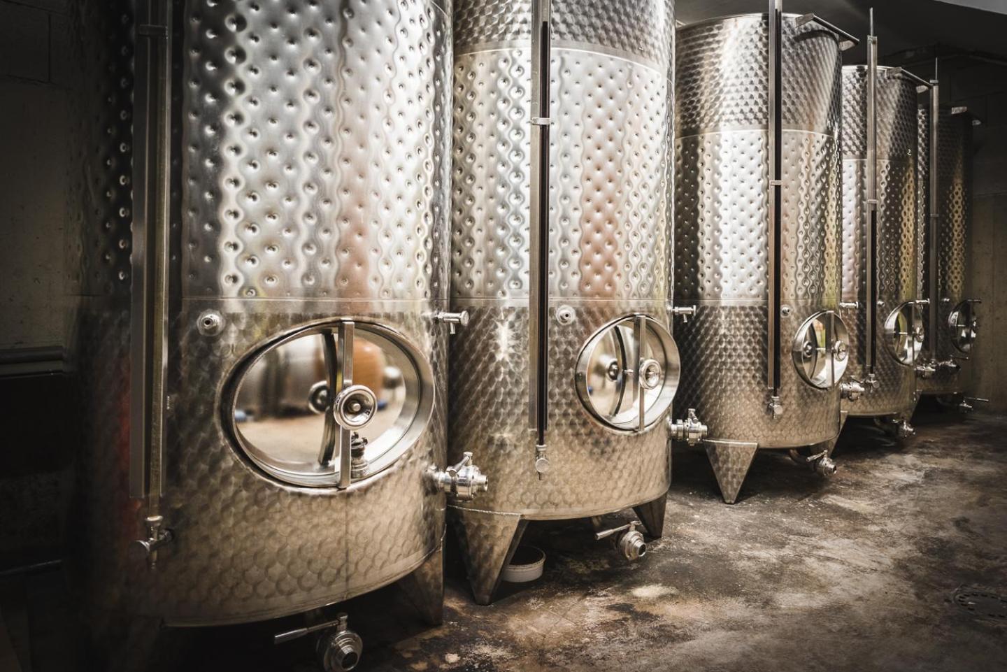 Weingut Gaestehaus D&D Haider Йойс Экстерьер фото