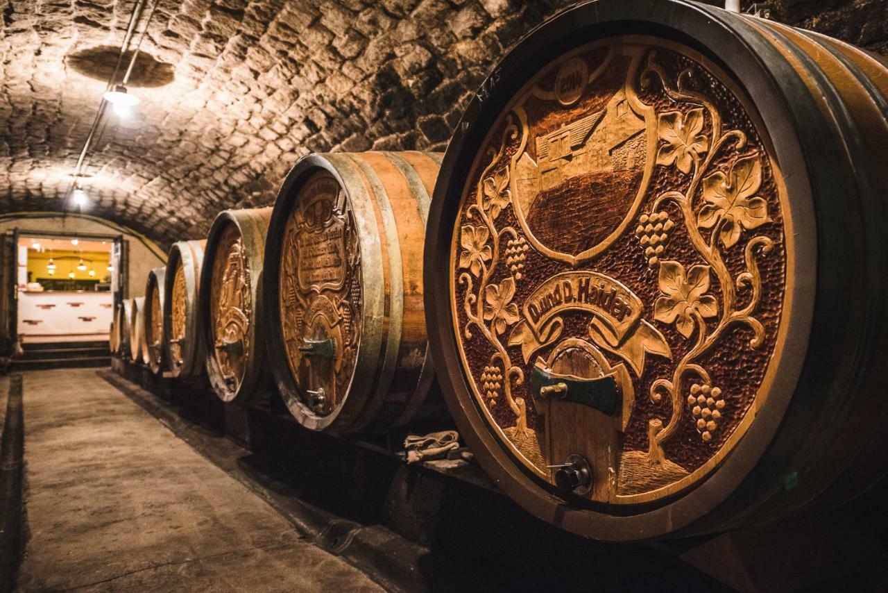 Weingut Gaestehaus D&D Haider Йойс Экстерьер фото