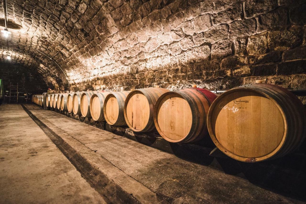 Weingut Gaestehaus D&D Haider Йойс Экстерьер фото